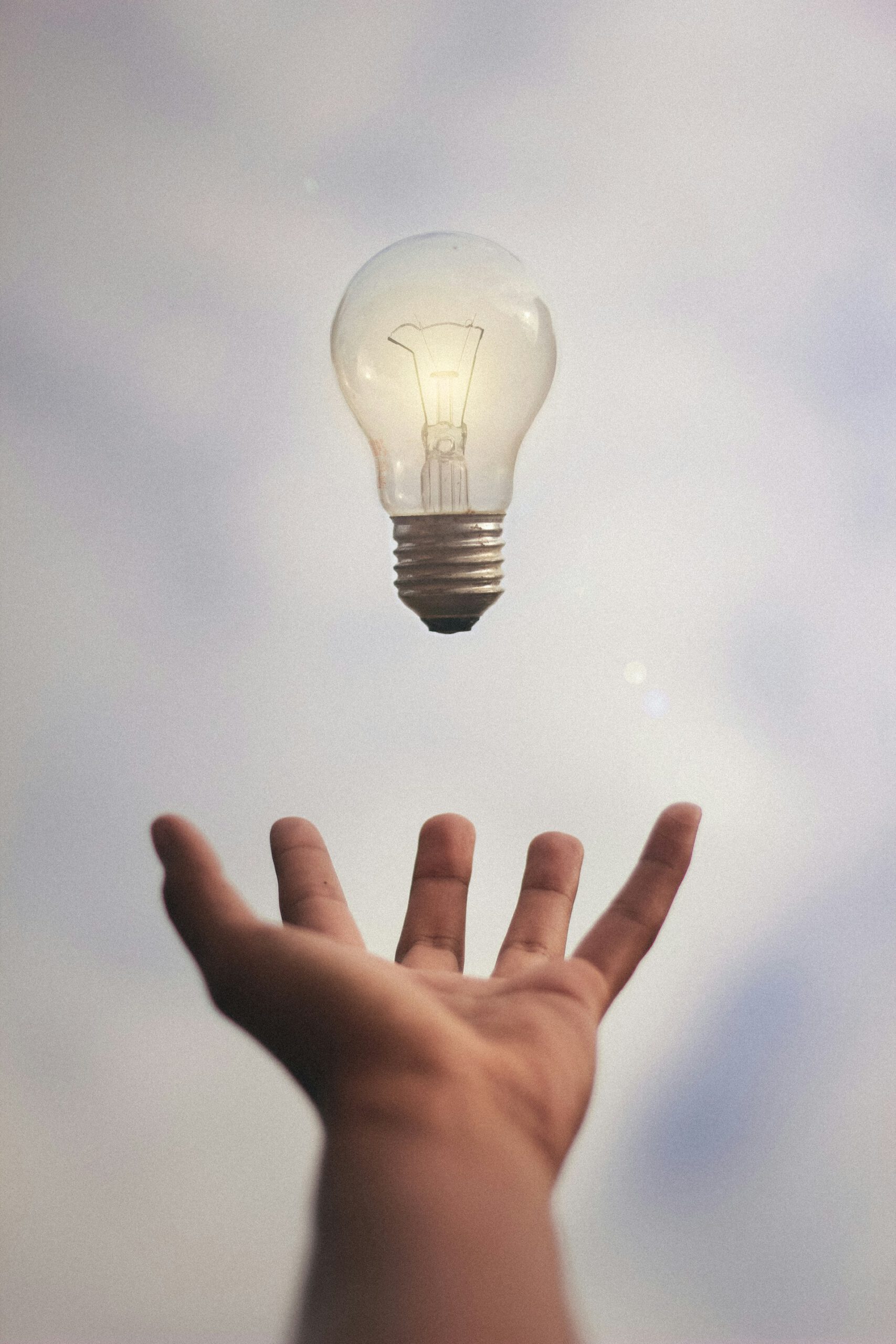 die Idee